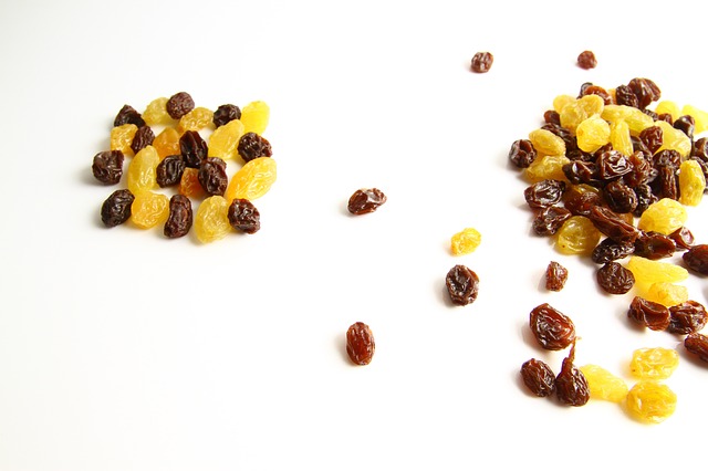 raisins secs, écorces d'orange Saouvreux fruits secs