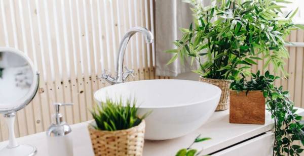 plantes vertes vasque à poser